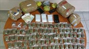 Είχαν κρύψει ακατέργαστη κάνναβη σε κυψέλες μελισσών