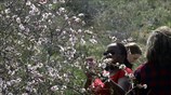 Οι πρώτες φωτογραφίες της Άνοιξης