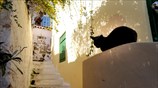 Στιγμιότυπο από τα Αναφιώτικα
