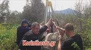 Νεμέα: Νεκρός άνδρας σε πηγάδι