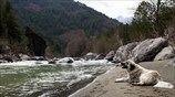 Στιγμιότυπο από την Ήπειρο