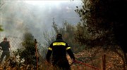 Κιάτο: Δασική πυρκαγιά στην περιοχή Μέγας Βάλτος