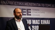 Επανεκλέχθηκε πρόεδρος του ΤΕΕ ο Γ. Στασινός