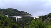 Νεκρή άλλη μία αρκούδα σε κάθετο άξονα της Εγνατίας Οδού