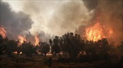 Υπό μερικό έλεγχο η φωτιά στην Πούντα Αιγιαλείας