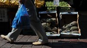 Στο 1,6% ο εναρμονισμένος δείκτης τιμών καταναλωτή