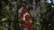 Νέο πλήγμα στις σχέσεις Τουρκίας-Γερμανίας λόγω ασύλου