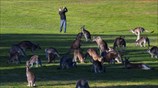 Προπόνηση παρεά με καγκουρό