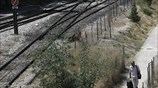 Ακινητοποιημένα τα τρένα
