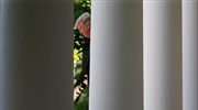 Καλιφόρνια και άλλες πολιτείες αψηφούν τον Τραμπ για την κλιματική αλλαγή