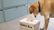Βρετανικές εκλογές: Οι... σκύλοι κλέβουν την παράσταση