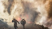 Πορτογαλία: Δασική πυρκαγιά στη Λεϊρία με 62 νεκρούς (UPD)