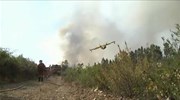 Πορτογαλία: Κατέπεσε πυροσβεστικό αεροσκάφος