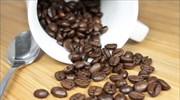Αιθιοπία: Η κλιματική αλλαγή επηρεάζει αρνητικά την καλλιέργεια καφέ και την οικονομία