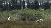 Σταθερή η κατάσταση του τραυματία από την πτώση του ελικοπτέρου
