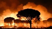 Δασική πυρκαγιά στη νότια Ισπανία