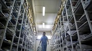 Ολλανδία: Εφετείο αναγνώρισε την «μερική» ευθύνη των Ολλανδών για τη σφαγή στη Σρεμπρένιτσα
