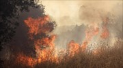 Υπό μερικό έλεγχο η πυρκαγιά στην Κορώνη