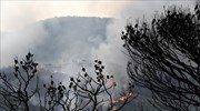 Σε ύφεση η πυρκαγιά στην Πέτα Κερατέας