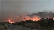 Συνεχίζεται η μάχη με τις φλόγες στην Κοκκάλα Λακωνίας