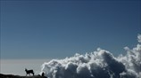 Αναρρίχηση στην κορυφή του Ολύμπου