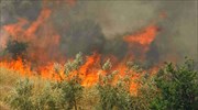 Σε εξέλιξη πυρκαγιά στην Αλφειούσα της Ηλείας