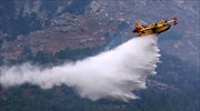 Δασική πυρκαγιά στις Βολίμες Ζακύνθου