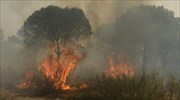 Πυρκαγιά σε αγροτοδασική έκταση στα όρια του Εθνικού πάρκου Δαδιάς - Λευκίμης - Σουφλίου