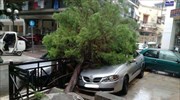 Ξεριζώθηκαν δέντρα στη Λάρισα από την κακοκαιρία