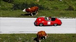 Ράλι κλασσικών αυτοκινήτων στην Αυστρία