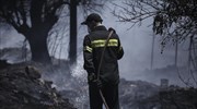 Πυρκαγιά στην περιοχή Σαμπά στο Ηράκλειο Κρήτης