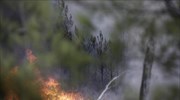 Μάχη με τις φλόγες κοντά στο Νεοχωρόπουλο Ιωαννίνων