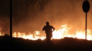 Συνεχίζεται η μάχη με τις φλόγες στο Νεοχωρόπουλο Ιωαννίνων