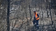 Υπό μερικό έλεγχο η πυρκαγιά στην Κοσμηρά Ιωαννίνων