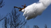 Δασική πυρκαγιά στην ορεινή Περίσσια Κέρκυρας