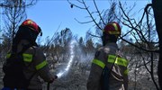 Κέρκυρα: Συνεχίζεται η μάχη με τις φλόγες στον Παντοκράτορα