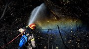 Υπό μερικό έλεγχο η πυρκαγιά στη Σμίλα Ηλείας