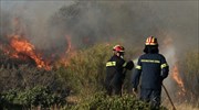 Πυρκαγιά στην περιοχή Φραγκαβίλα της Αμαλιάδας