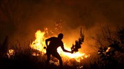 Λέσβος: «Σε εμπρησμό οφείλεται η πυρκαγιά» μεταξύ Γέρας και Πλωμαρίου