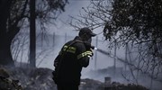 Σε εξέλιξη φωτιά στο Γαλάτσι στις παρυφές του Άλσους Βεΐκου