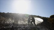 Πυρκαγιά στην Υάμεια Μεσσηνίας