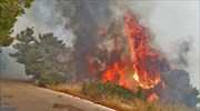 Υπό έλεγχο οι πυρκαγιές σε Μεσσηνία και Αιτωλοακαρνανία