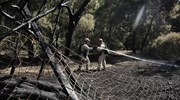 Πυρκαγιά σε δασική έκταση στο Μενίδι