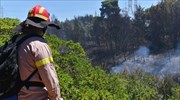 Πυρκαγιά σε δασική έκταση στο Τσεκούρι Πάργας
