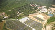 More delays, bureaucratic obstacles bedevil gold mining concession in northern Greece