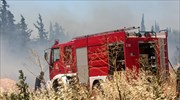 Υπό μερικό έλεγχο η πυρκαγιά στα Αμπέλια Αργινίου