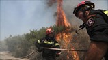 Πυρκαγιά στην Καισαριανή πίσω από το Σκοπευτήριο