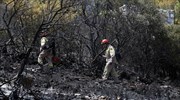 Σε ύφεση η φωτιά στο Κορωπί - Υπό μερικό έλεγχο η πυρκαγιά στα Καμένα Βούρλα