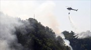 Αλβανία: Υπό έλεγχο τέθηκε η φωτιά στο Γλυκομήλι του δήμου Δρόπολης