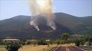 Urgent probe ordered in wake of repeated wildfires on Zakynthos